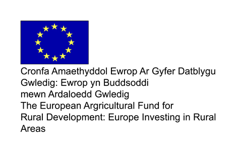 Cronfa Amaethyddol Ewrop Ar Gyfer Datblygu